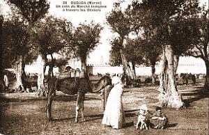 BIVEN Georges - 205 - Oujda